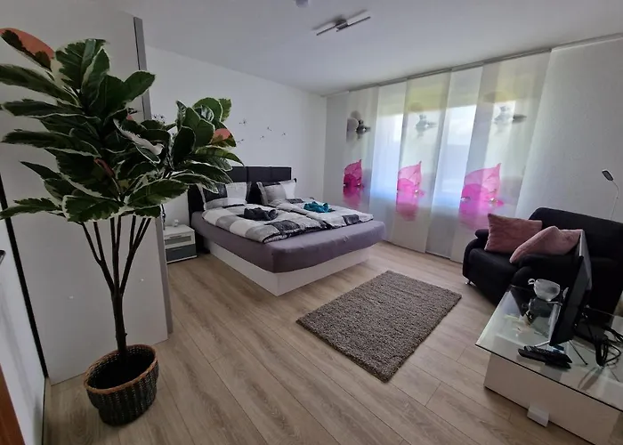 Ferienwohnung Starennest Mit Direktem Harzblick