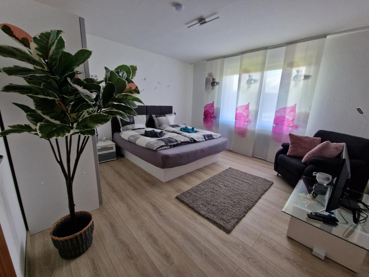 Starennest Mit Direktem Harzblick Apartment Bad Lauterberg